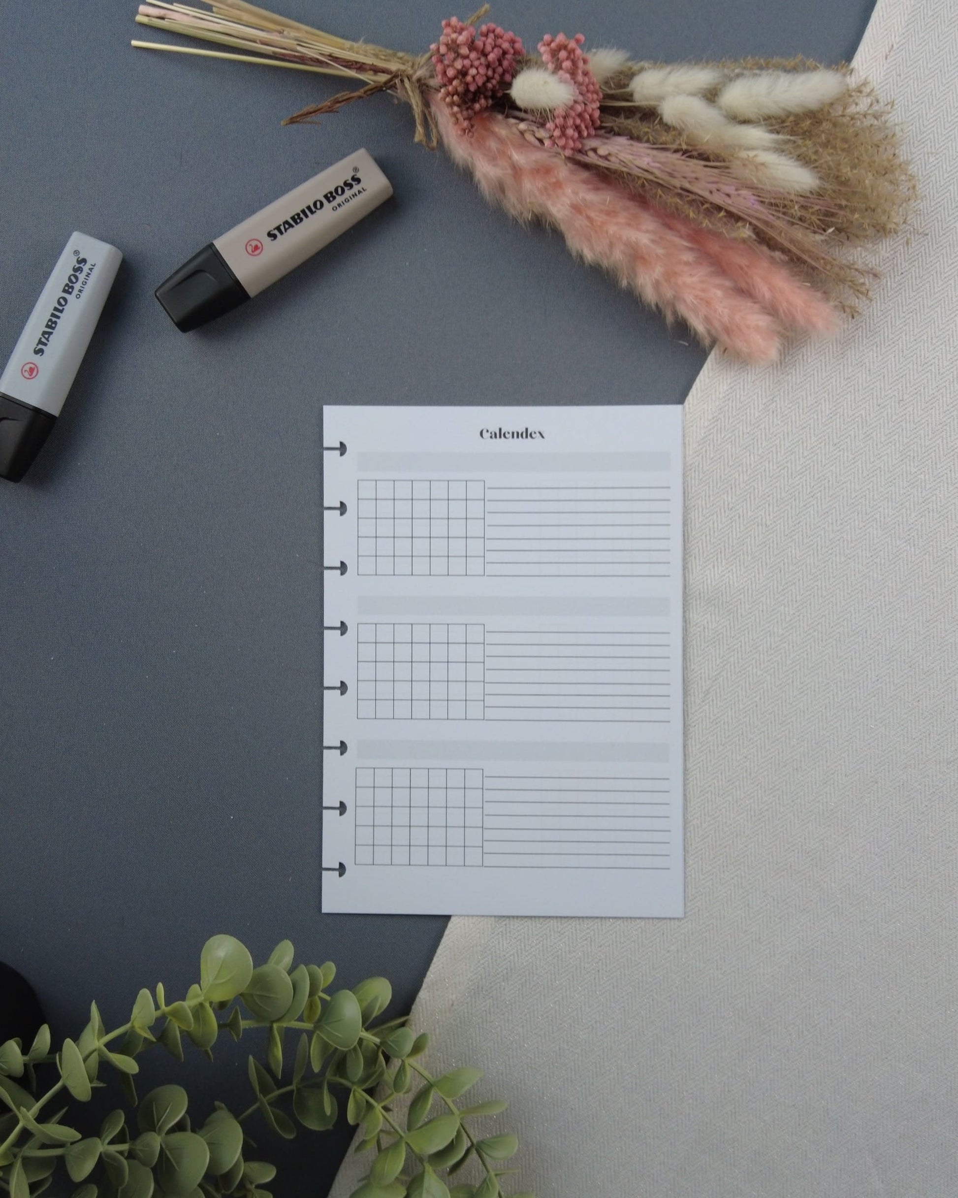 agendarechargeable-calendexperpetuel-vueannuelleagenda-agendaperpertuel-lapapeteriedemarie.2