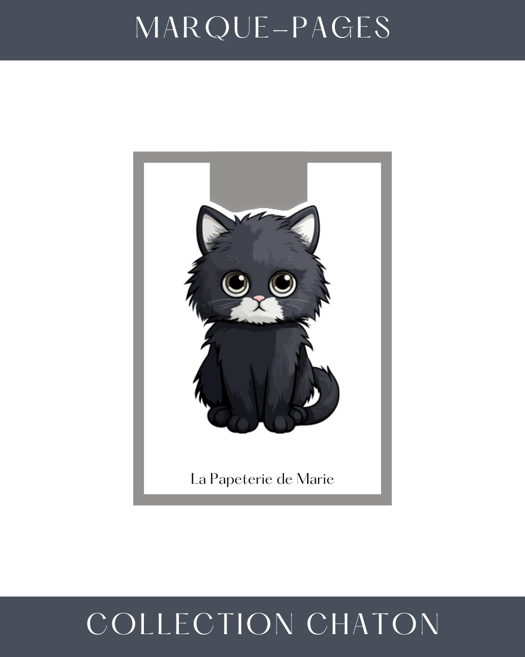 boxdepapeterie-boxpapeterie-boxpapeterie-bnoxdepapeterie-donassociationchat-donassociationanimaux-papeterieartisnale-boxdepapeteriechat-papeteriechat.7