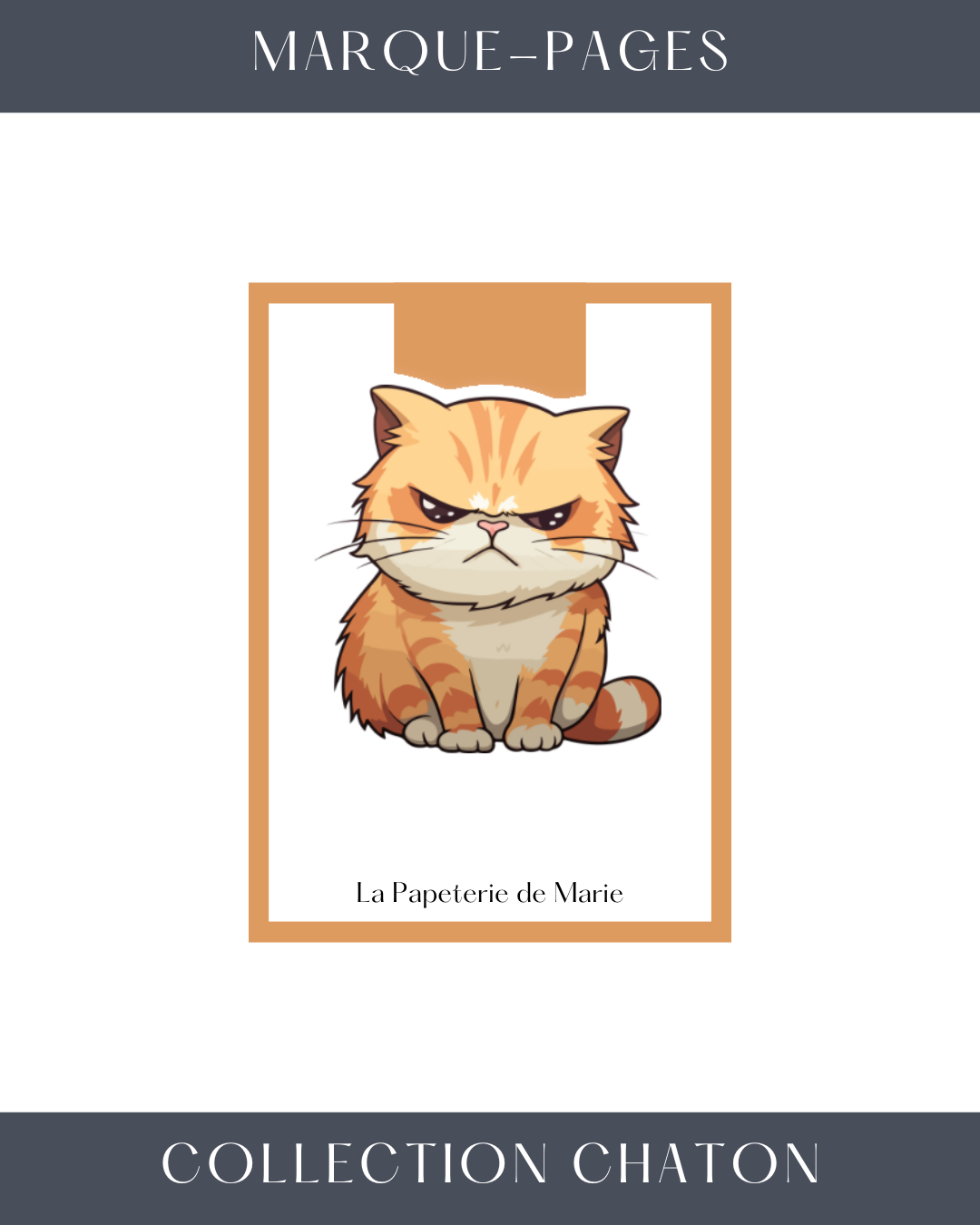 boxdepapeterie-boxpapeterie-boxpapeterie-bnoxdepapeterie-donassociationchat-donassociationanimaux-papeterieartisnale-boxdepapeteriechat-papeteriechat.8